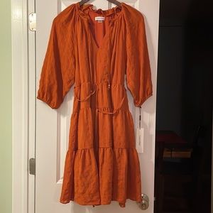 Calvin Klein Rich Brown Dress- summer or fall. New with tags